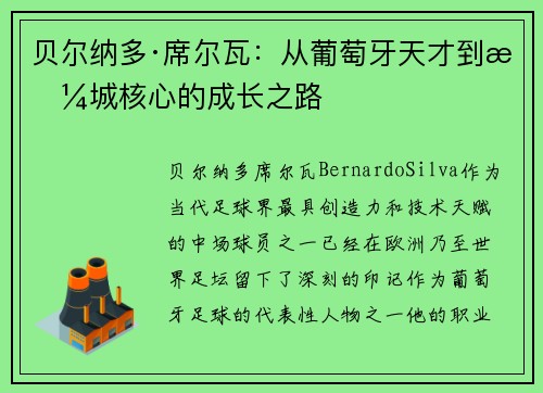 贝尔纳多·席尔瓦：从葡萄牙天才到曼城核心的成长之路