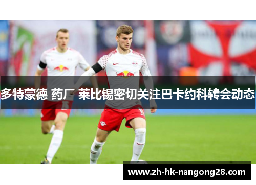 多特蒙德 药厂 莱比锡密切关注巴卡约科转会动态