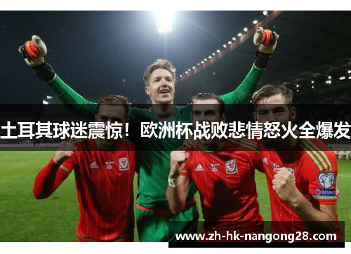 土耳其球迷震惊！欧洲杯战败悲情怒火全爆发