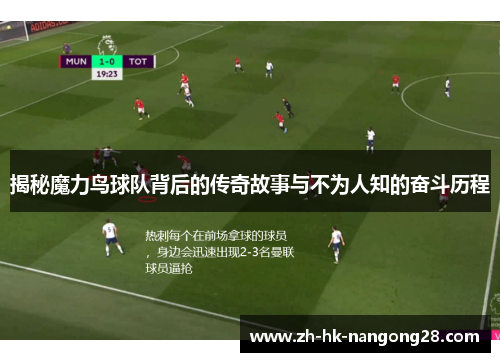 揭秘魔力鸟球队背后的传奇故事与不为人知的奋斗历程