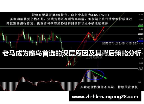 老马成为魔鸟首选的深层原因及其背后策略分析
