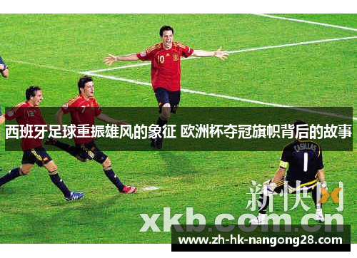 西班牙足球重振雄风的象征 欧洲杯夺冠旗帜背后的故事