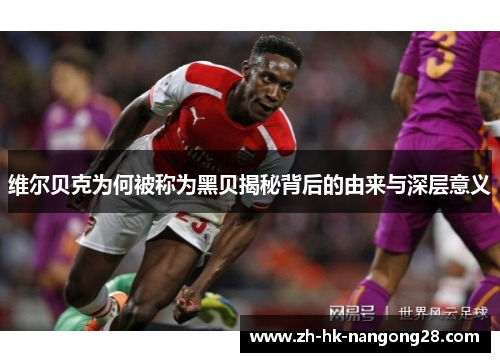 维尔贝克为何被称为黑贝揭秘背后的由来与深层意义